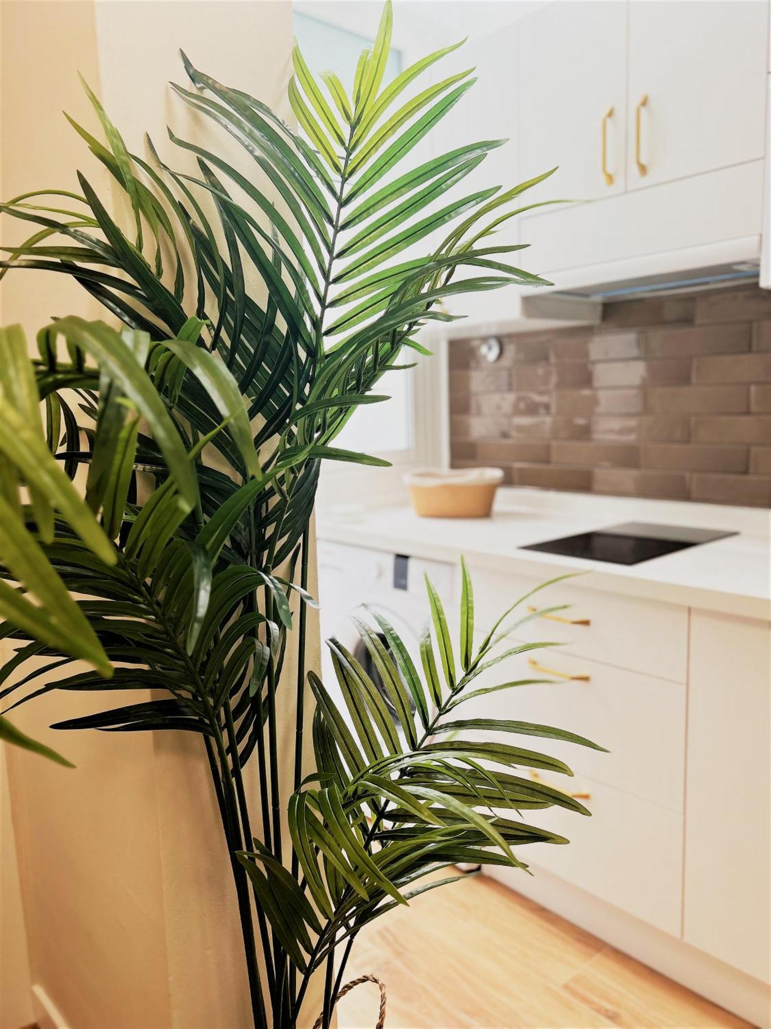 Apartamentos Pepita Сан-Себастьян-де-ла-Гомера Экстерьер фото